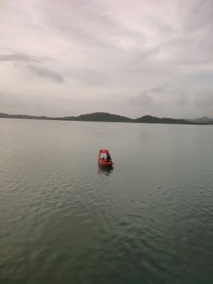 hari-062840.jpg
