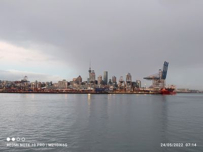 hari-071431.jpg