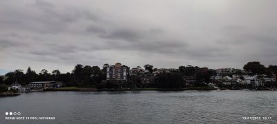 hari-101113.jpg