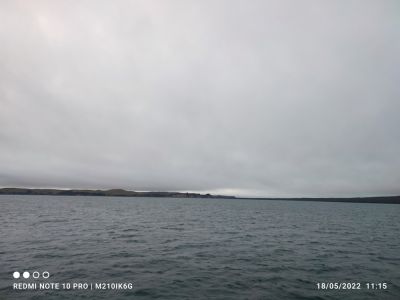 hari-111550.jpg