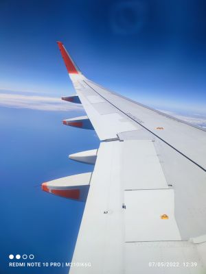 hari-123928.jpg