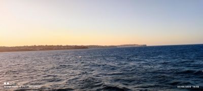 hari-165626.jpg