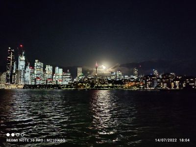 hari-180451.jpg